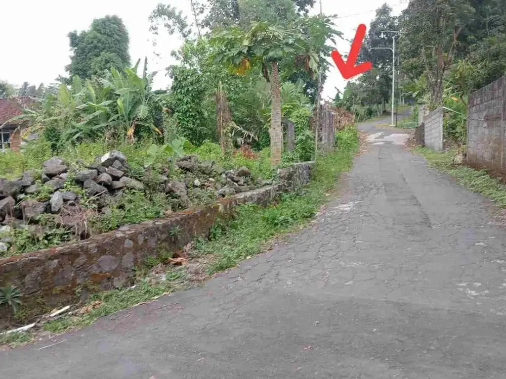 tanah luas 131m2 diutara uii jl kaliurang km 16 atau barat pasar pakem