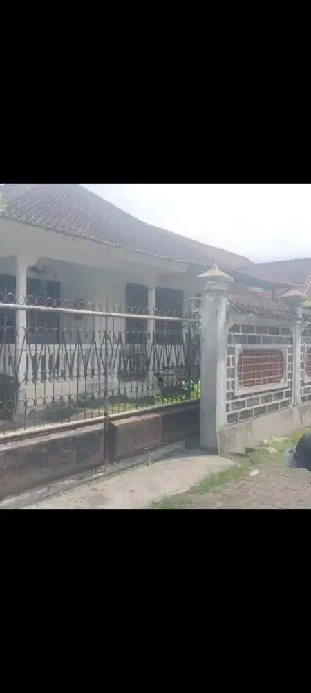 Dijual tanah murah,3,5 are bonus rumah di monang maning denpasar