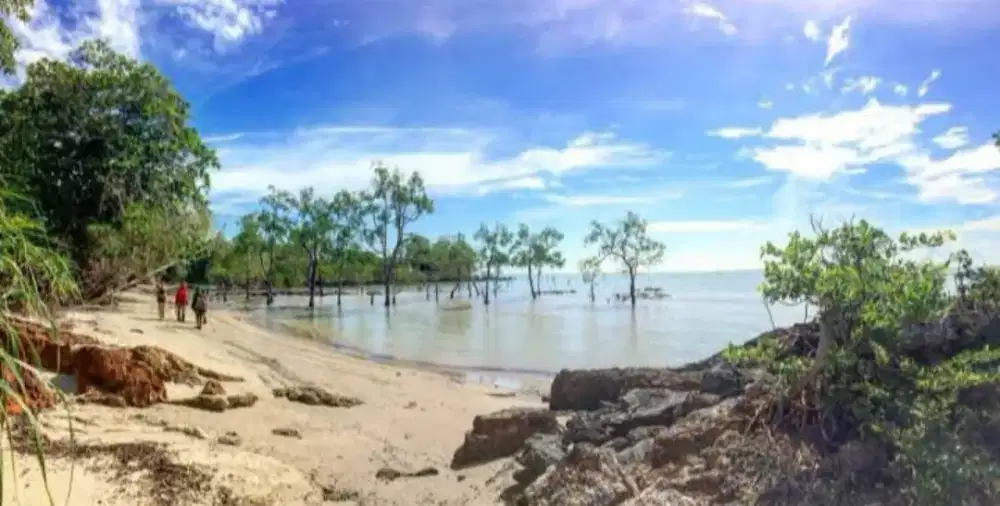 Di jual lahan seluas 16 hektar berserta bangunan Villa dan Kebun Sawit