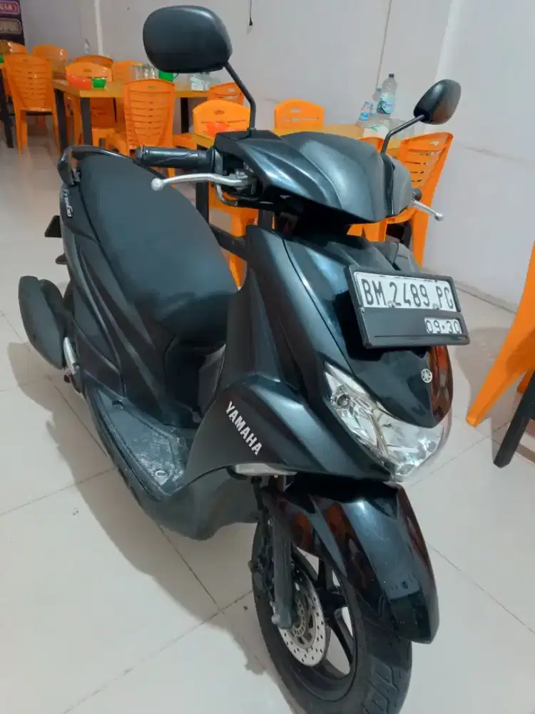 Freego pajak hidup panjang