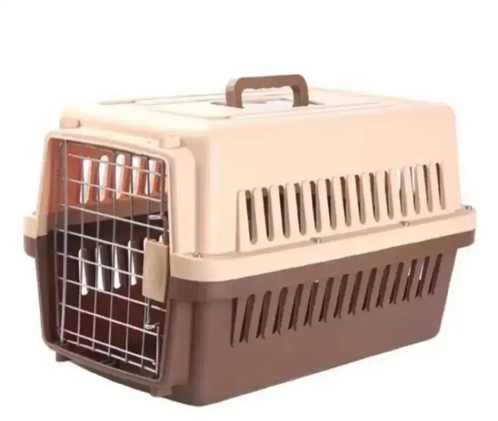 Pet cargo bekas anak kucing