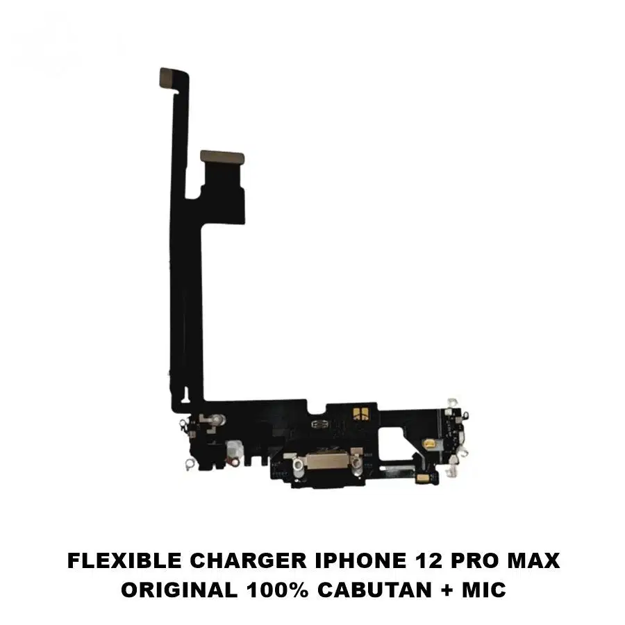 Flex Charger iPhone 12 Promax