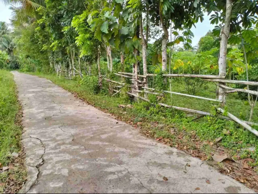 INVESTASI TANAH 2623 TERMURAH DI BONDOWOSO MERTOYUDAN MAGELANG