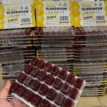 cadar cacing beku pionner