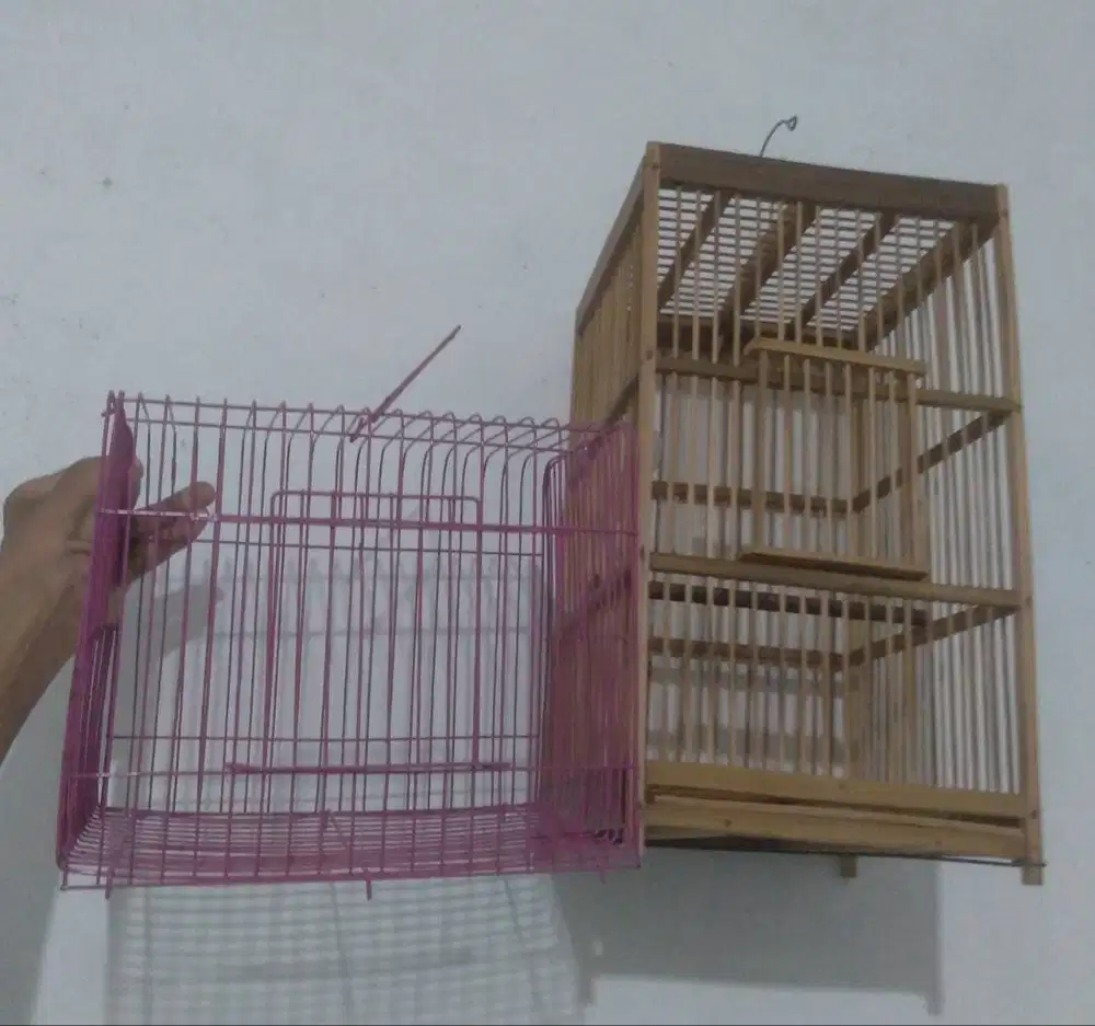 Kandang burung kecil