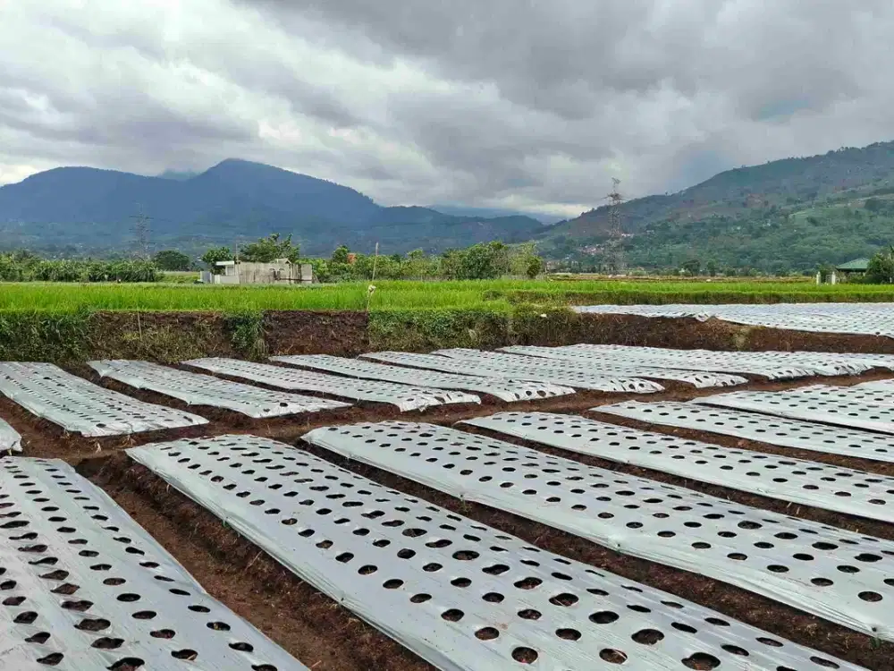 JUAL CEPAT TANAH MURAH BANDUNG SELATAN