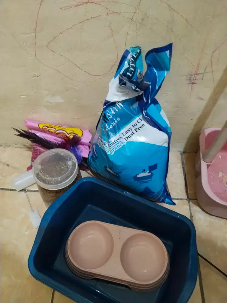 Gratis peralatan kucing