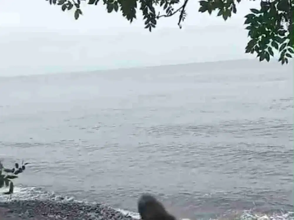 DIJUAL TANAH PREMIUM PINGGIR PANTAI TULAMBEN PINGGIR JALAN INDUK SINGARAJA KARANGASEM BALI