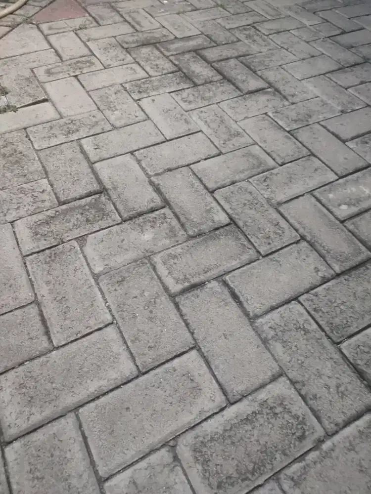 Cari art semi momong pulang pergi