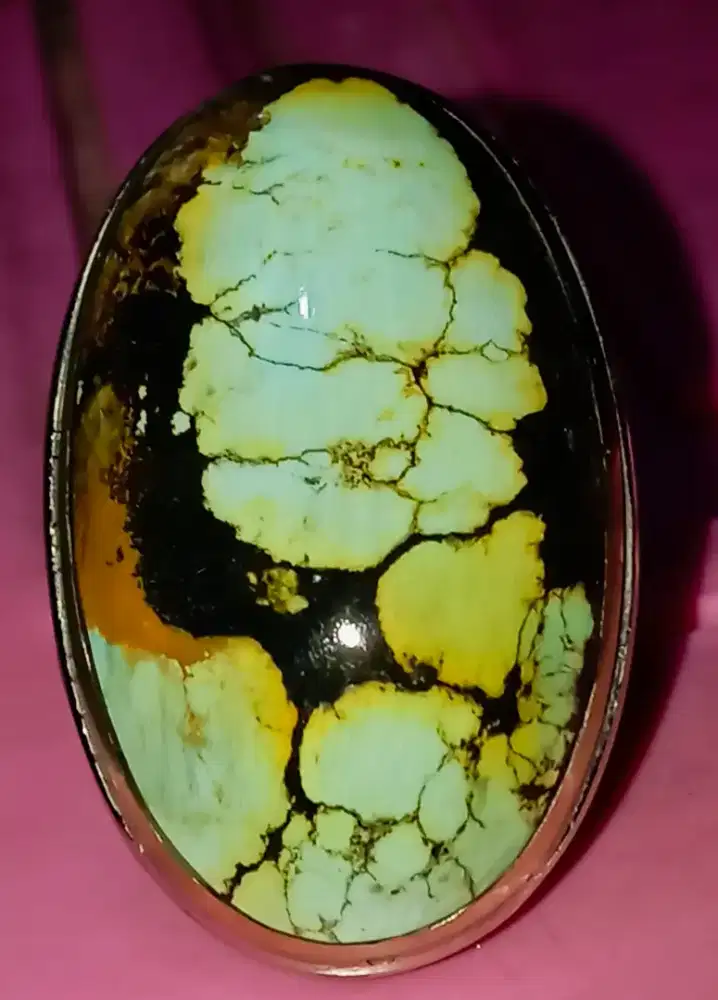 Pirus Hubei/Xinjiang Motif/Gambar HQ