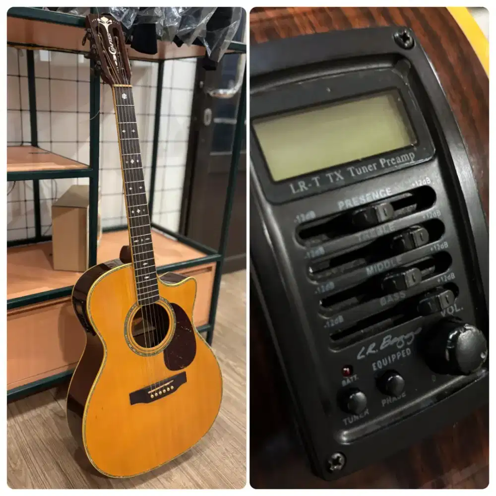 Crafter TMC 035/N (Solid Engelmann Spruce, LR Bagg Pickup)