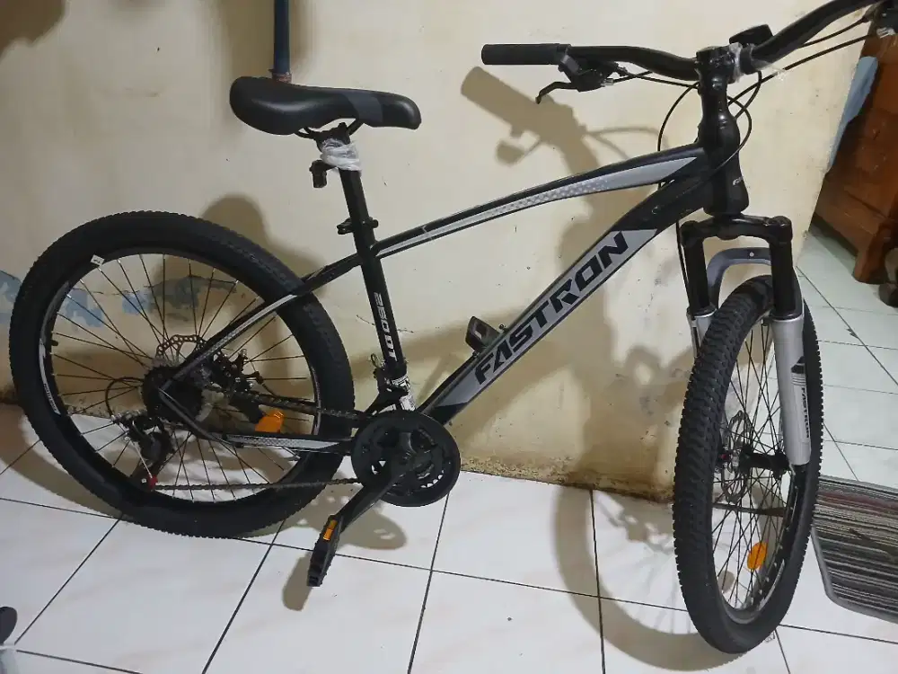Sepeda Fastron 260DT