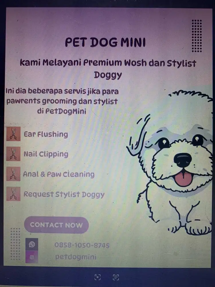 Jasa Grooming styling doggy