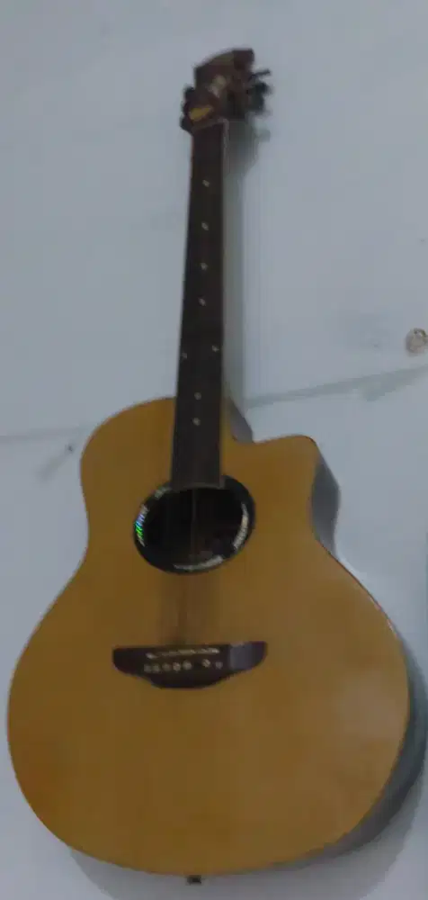 Gitar akustik elektrik