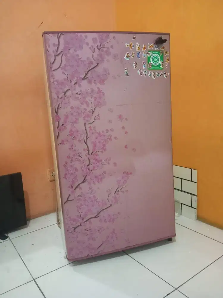 Kulkas pakaian pribadi