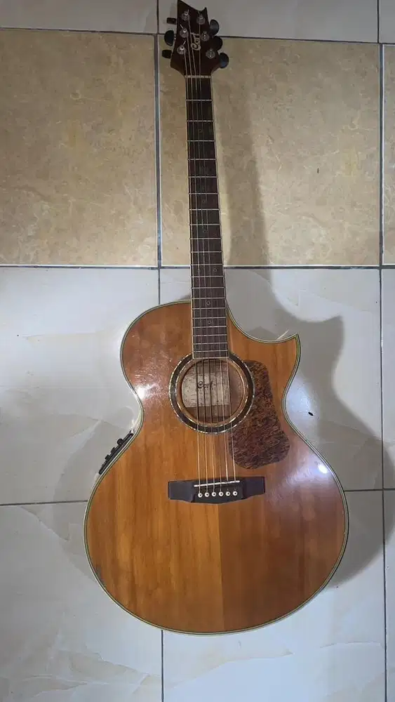 Gitar Cort NDX 20