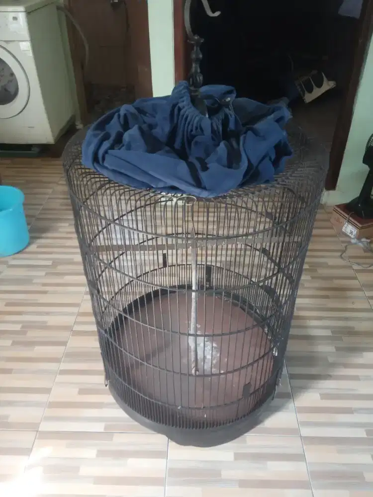 Kandang Murai sama krodong