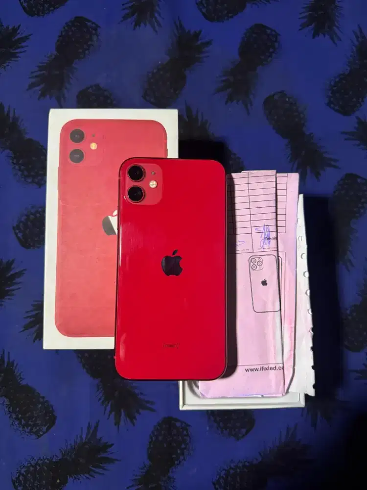 iPhone 11 becukai