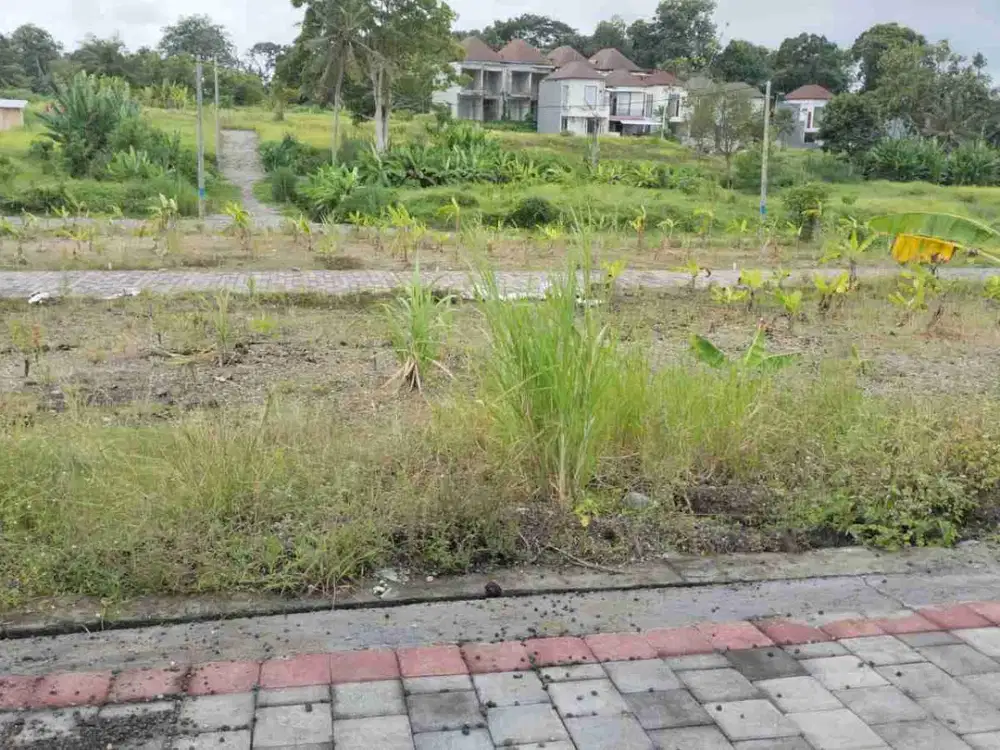 Dijual tanah dengan pecahan kecil lokasinya kedungu arah pantai sangat jarang ada pecahan kecil arah pantai