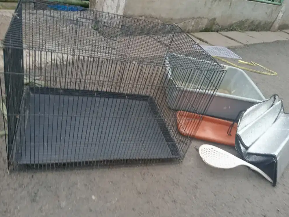 kandang kucing kondisi seadanya