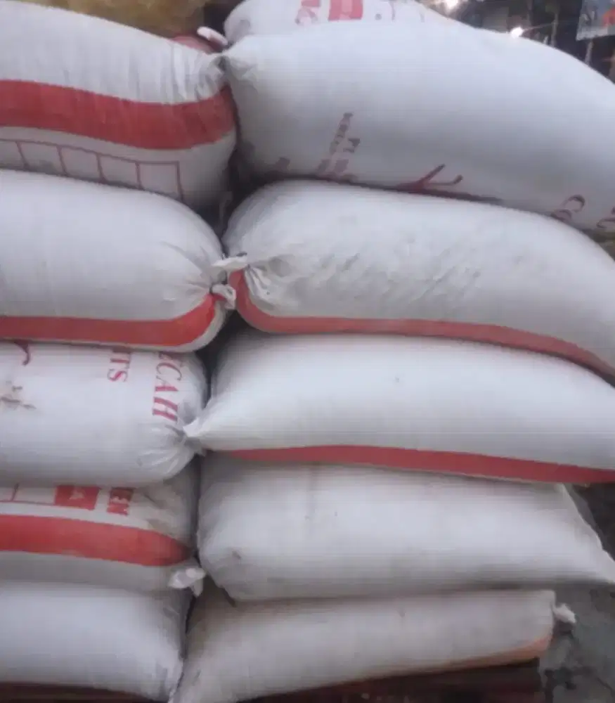 Sekam padi alas kandang ayam