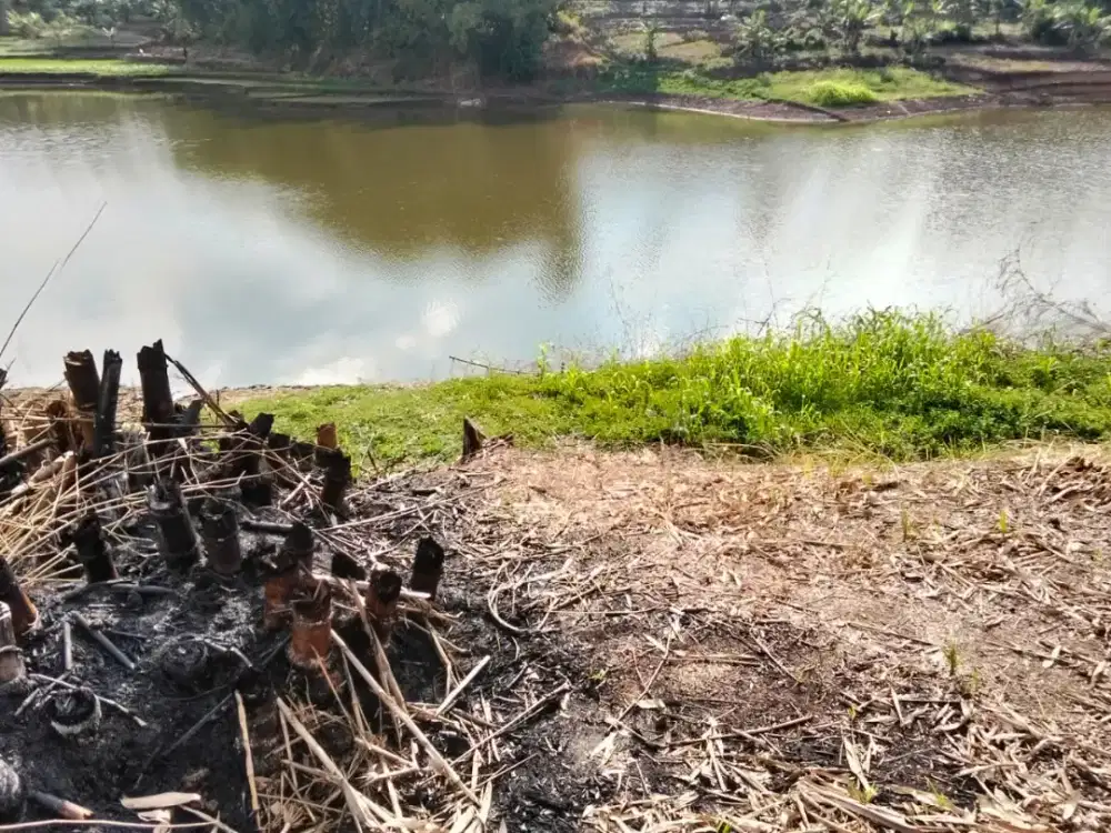 Jual tanah pinggir jalan desa view danau