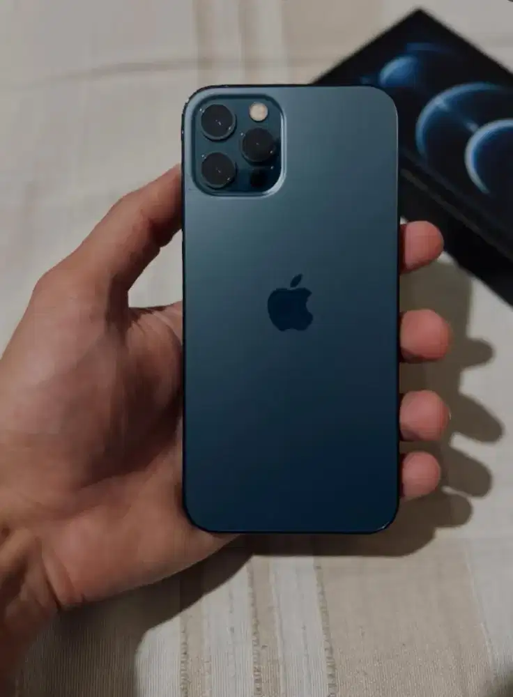 12 pro 256 giga ( Beacukai )