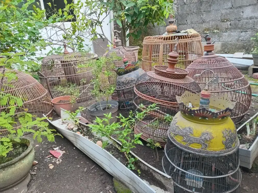 Kandang Ayam Jati kandang Burung