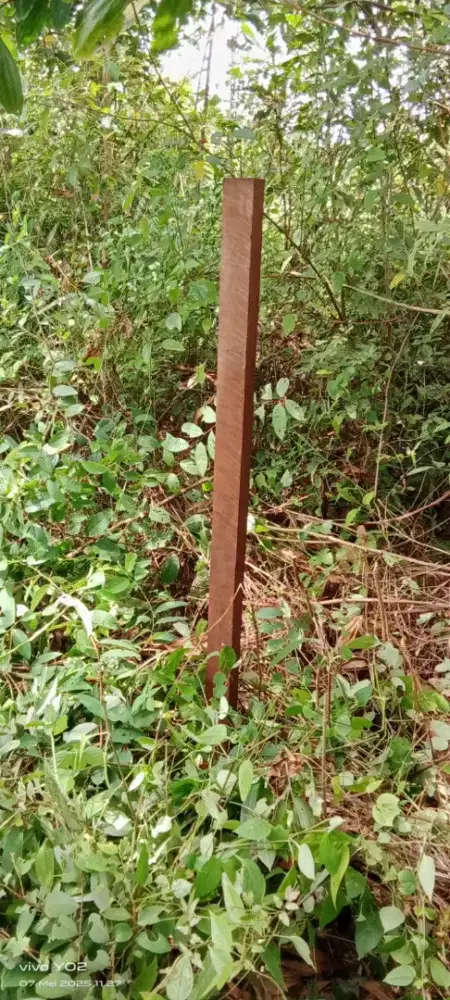 Di jual cepat tanah di Tungkaran jln Padang anyar Martapura