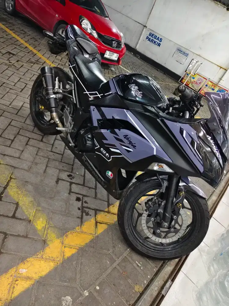Kawasaki ninja fi 2013