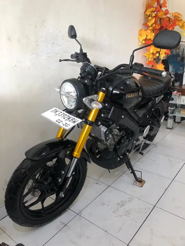 Yamaha XSR Th.2025 Low km 1018!!