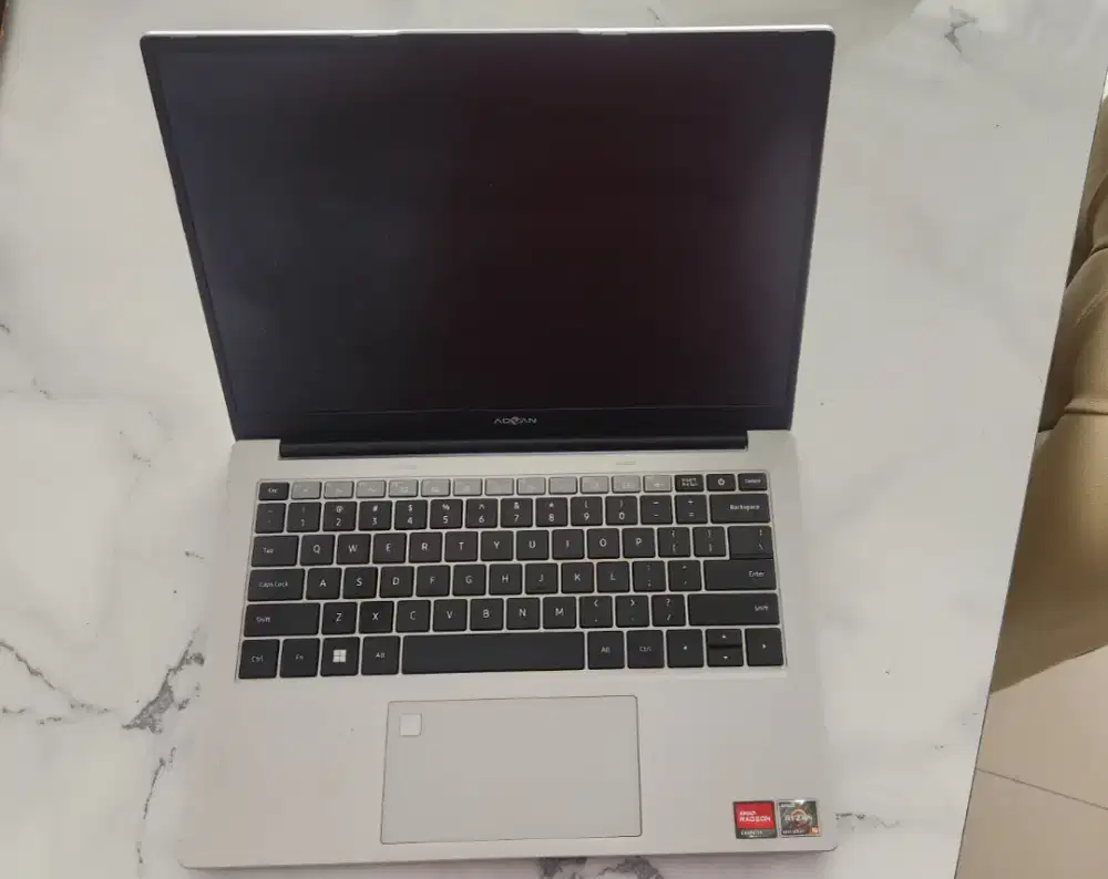 Advan Workplus Ryzen 5 6600H Minus