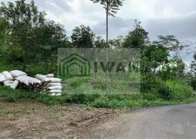 Kebun Alpukat Beriklim Sejuk & Strategis Hadap Jalan DPU