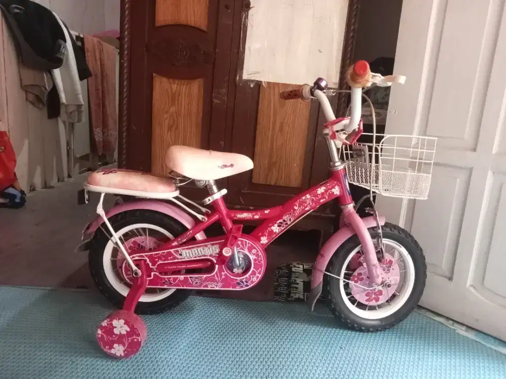 SEPEDA ANAK -BEKAS BERASA BARU