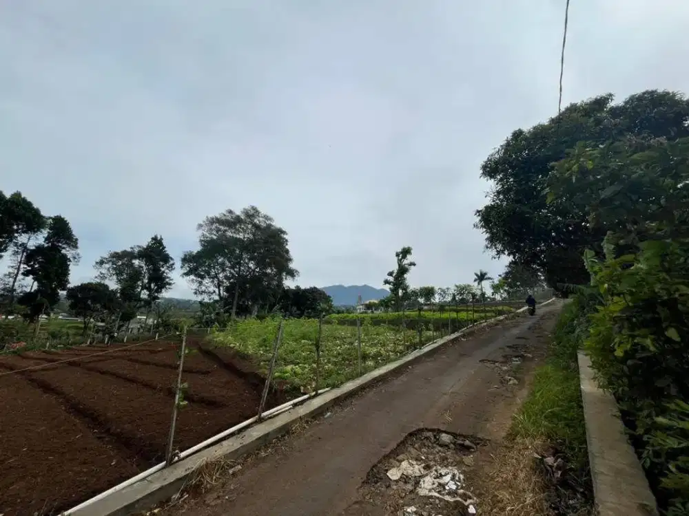 Dijual Tanah di Ngamprah, Luas Lokasi Strategis Dekat Kantor Pemda KBB