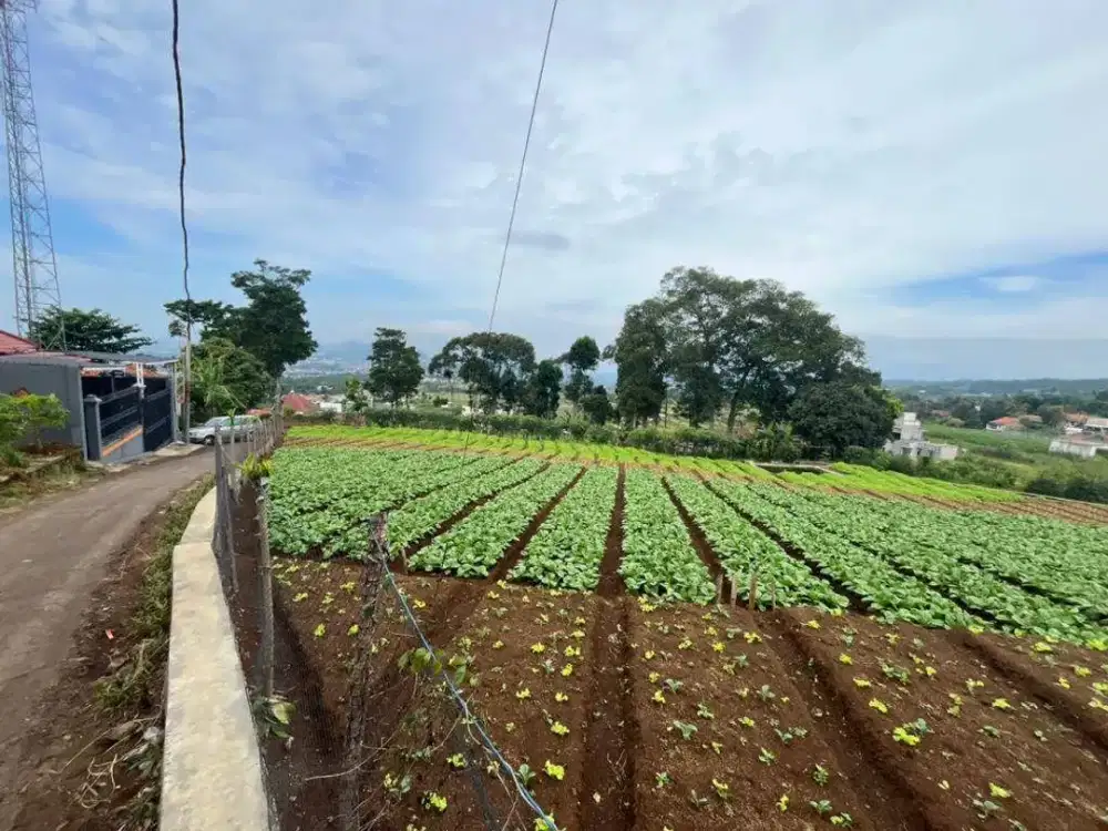 Dijual Tanah di Ngamprah, Strategis Dekat Kantor Pemda KBB Sudah SHM