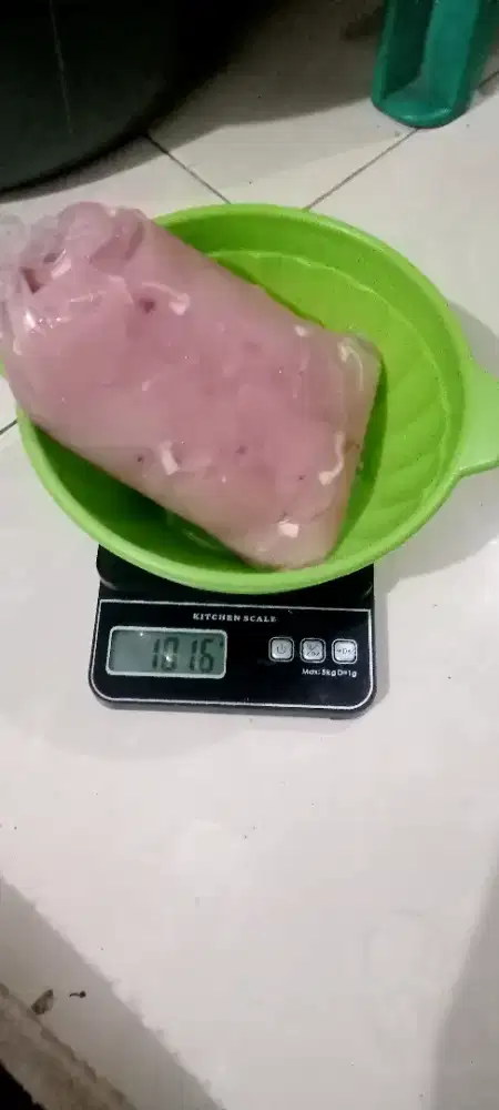 Jual ayam fillet dada