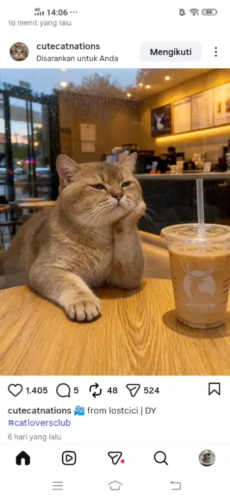 Mencari Kerja sebagai Sopir