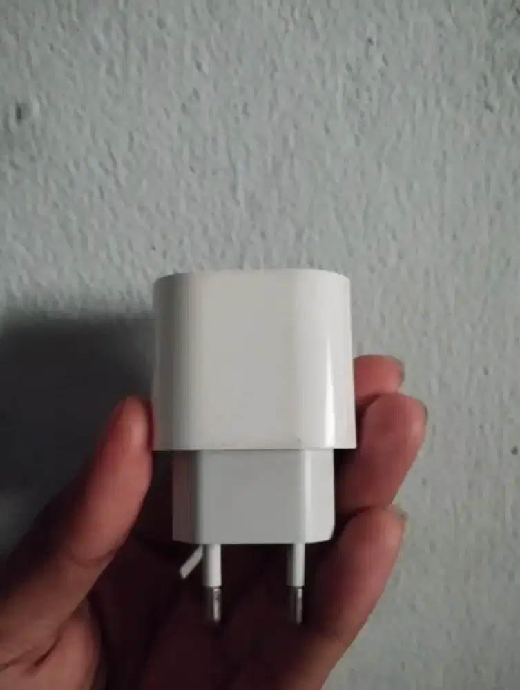 Casan original iphone 20wat