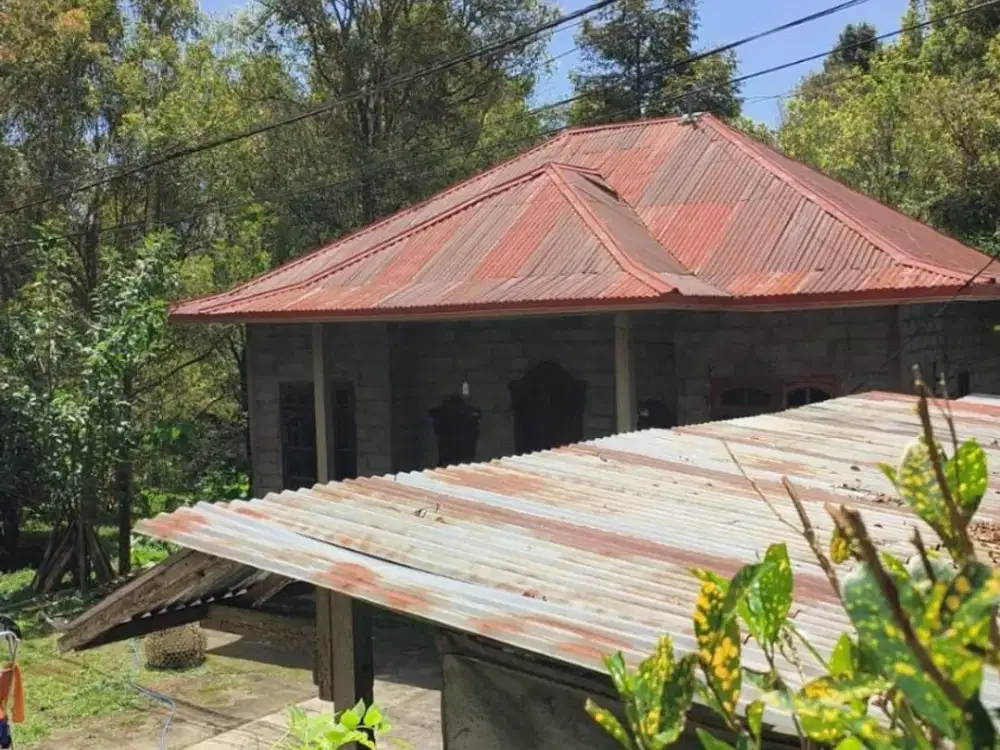 DIJUAL 1 BIDANG TANAH DENGAN TOTAL LUAS 5460 M2 BERIKUT BANGUNAN - BULELENG