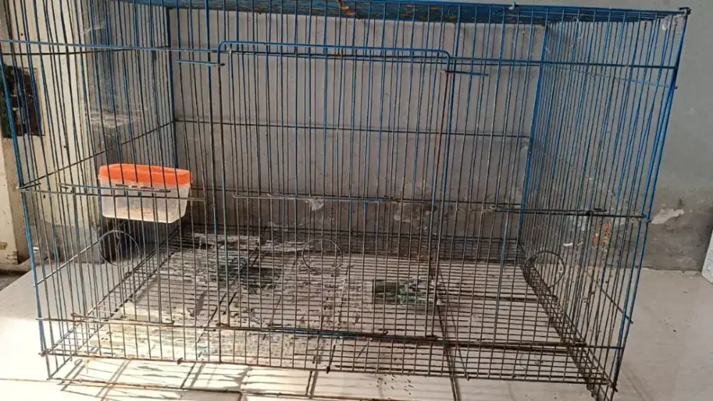 Kandang kenari second nego