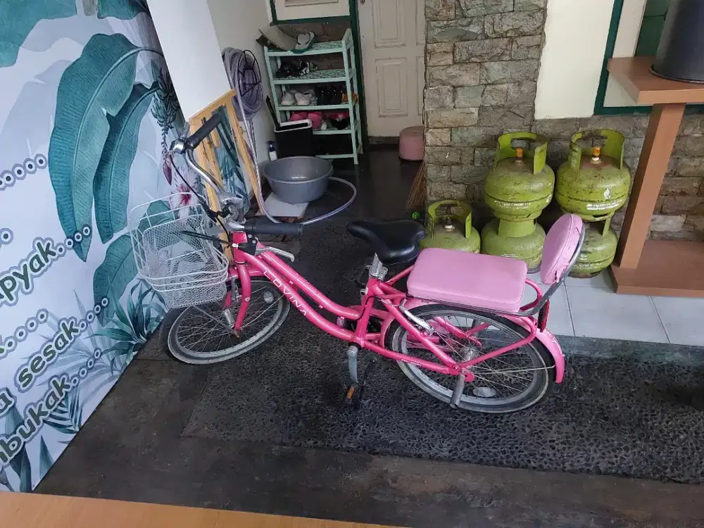 Sepeda Poligon Seri Lovina