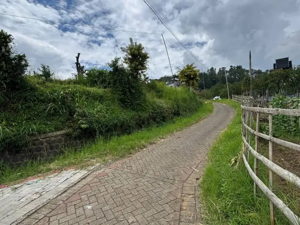 Tanah Pekarangan Murah di Kota Batu Bisa Buat Perumahan