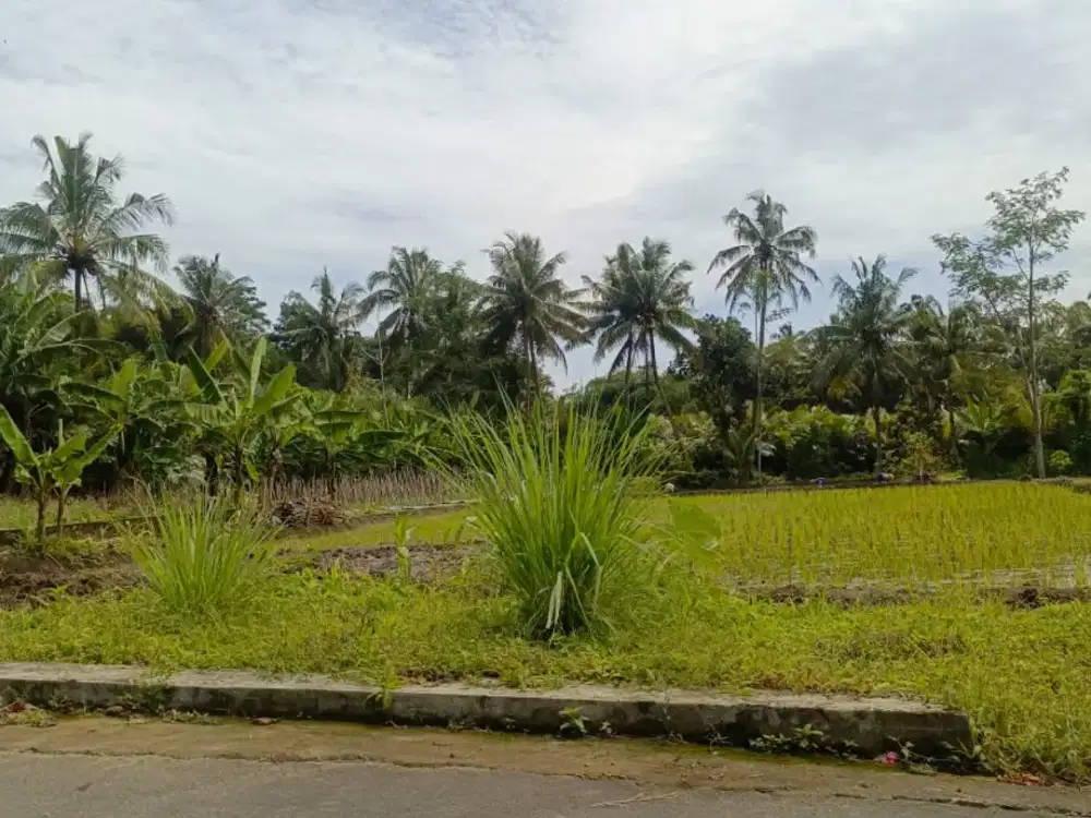 Tanah Sejuk Pakem Sleman – SHM, Pinggir Jalan, Cocok Homestay