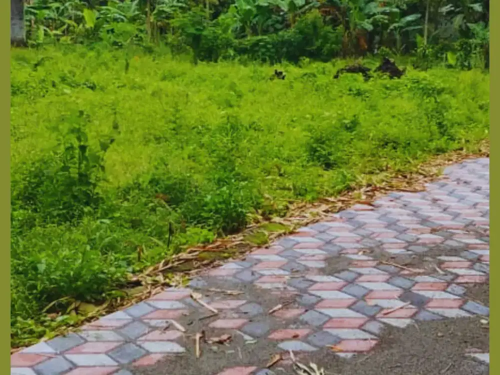 Tanah Jogja Kost Area Kampus UII Kaliurang SHM Pekarangan