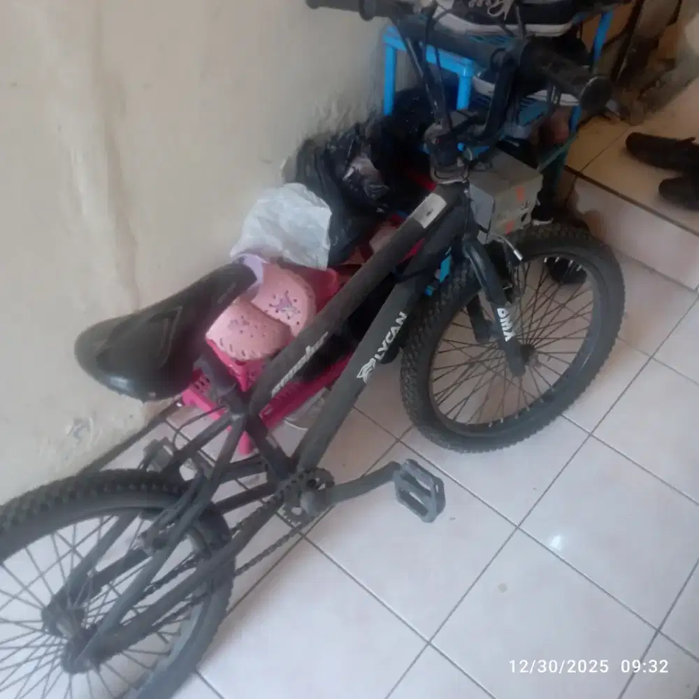 Jual Sepeda BMX