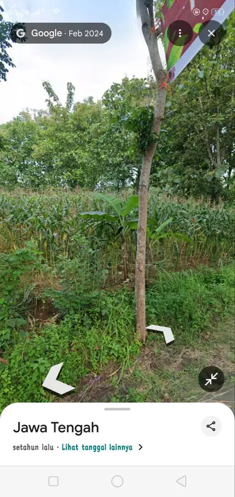 Tanah Murah Pinggir jalan Aspal, Jual Cepat