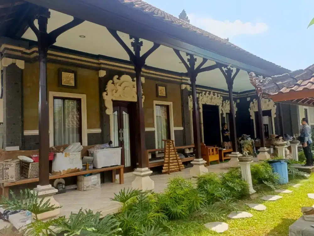 PELUANG CUAN! VILLA MEWAH 5,9 ARE DI BATUR SARI SANUR – HARGA LELANG DI BAWAH PASAR! ( ML / LM )