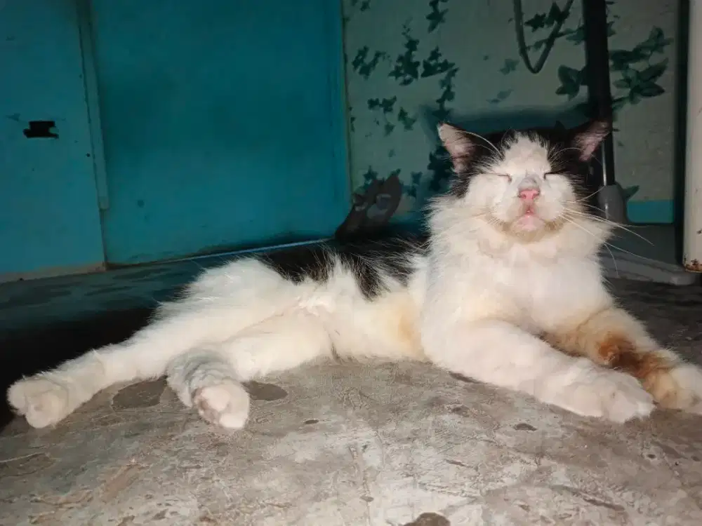 Mencari lowongan kerja