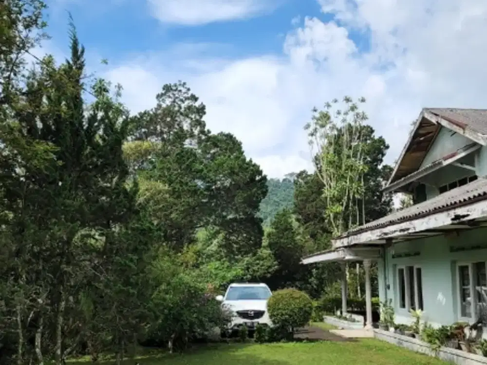 Dijual Villa Gadog Cipanas